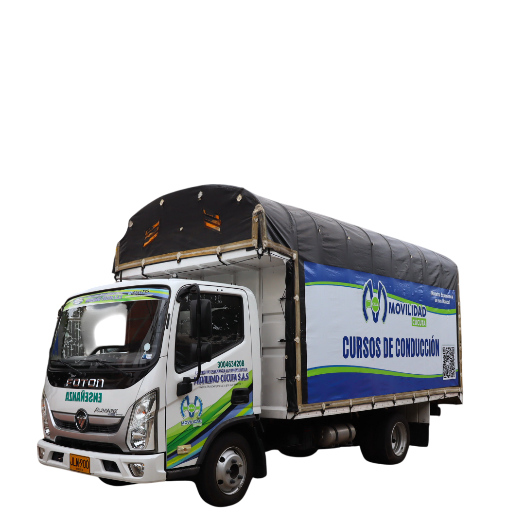 Categoría C2 (Camión Servicio Público)